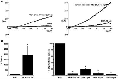 Inhibition of Intermediate-Conductance Calcium-Activated K Channel (KCa3.1) and Fibroblast Mitogenesis by α-Linolenic Acid and Alterations of Channel Expression in the Lysosomal Storage Disorders, Fabry Disease, and Niemann Pick C